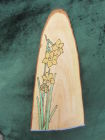 Daffodils