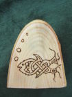 Knot fish