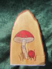 Fly Agaric